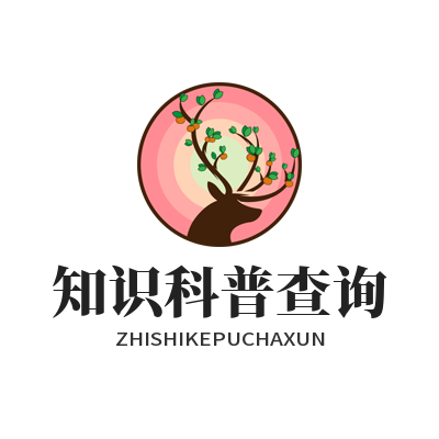 1784184939680545.png SafeW 端到端加密原理 私密通讯防窃取安全讲解图